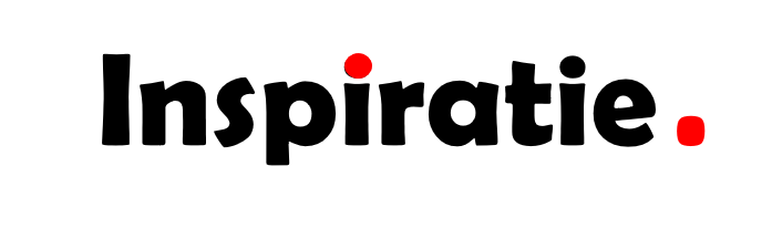 Professioneel sparringpartner